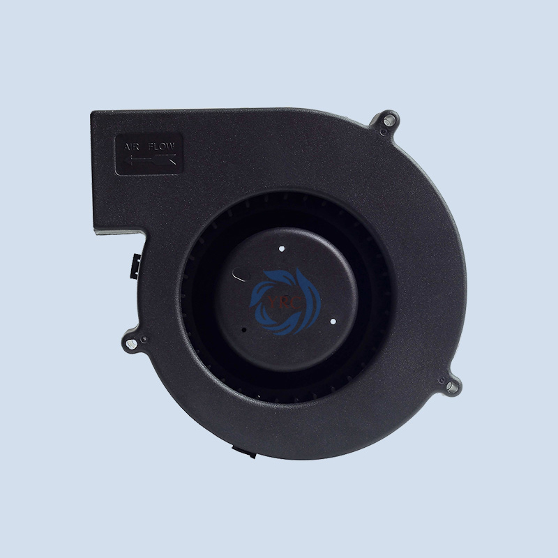 YRB1340(2).jpg YRB1340(2).jpg